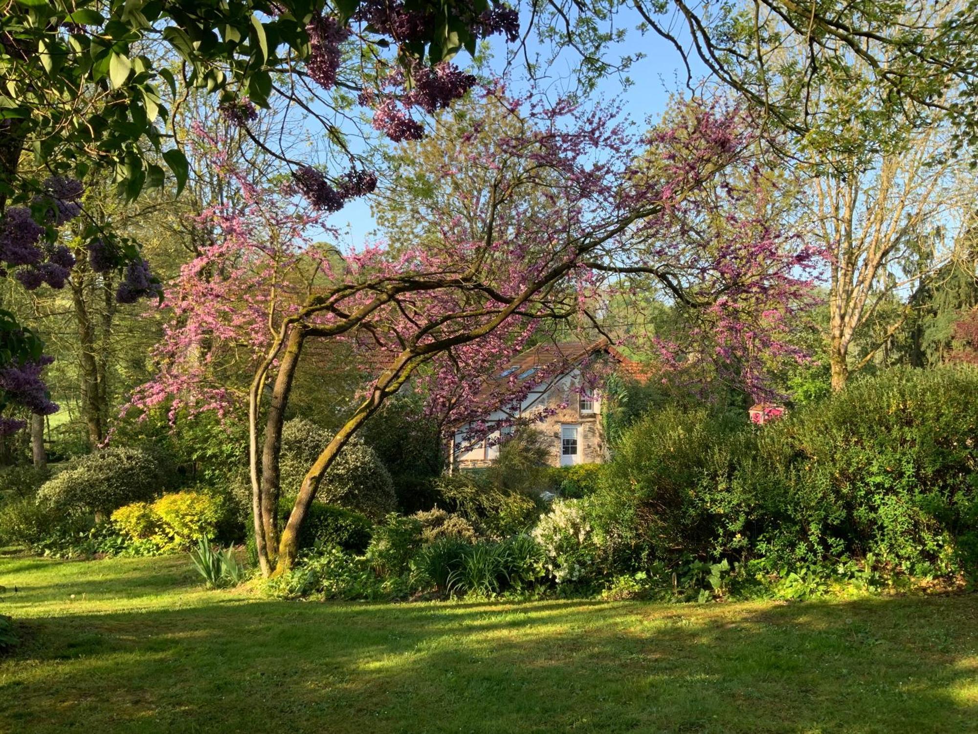 Le Moulin De La Castellerie Bed & Breakfast Moon-sur-Elle Exterior photo